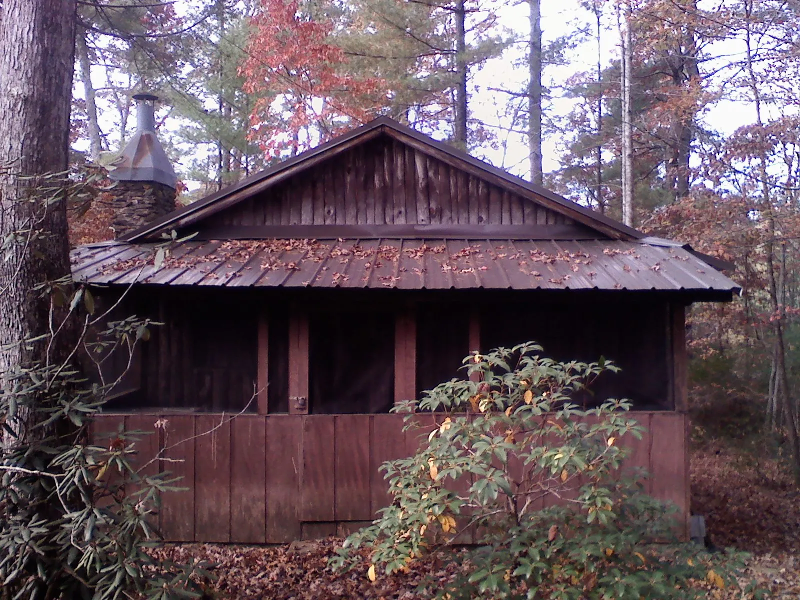 Metal roof over the screened porch of a rustic cabin in Carolina Beach